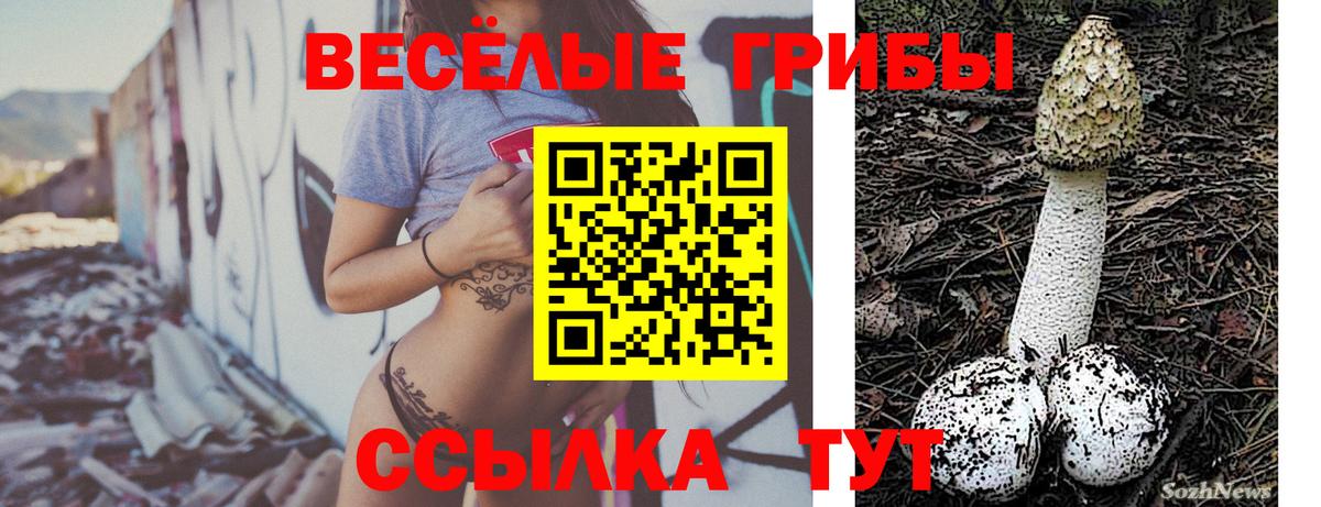 Луховицы  Псилоцибиновые грибы MAGIC MUSHROOMS  Галлюциногенные грибы Cubensis  Вход с VPN 